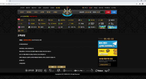먹튀 (뉴캐슬 NEWCASTLE 사이트)