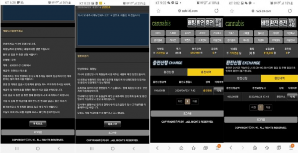 먹튀 (카나비 CANNABIS 사이트)