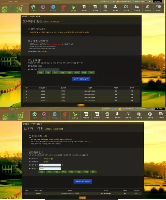 먹튀 ( 홀인원 HOLEINONE 사이트 )
