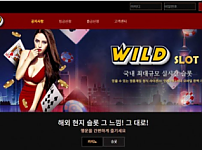 토토 【 와일드 WILD 】 사이트