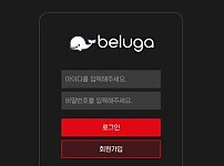 토토 【 벨루가 BELUGA 】 사이트