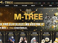 토토 【 머니트리 MONEY TREE 】 사이트