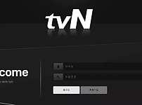 먹튀 ( 티비엔 TVN 사이트 )