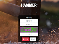 먹튀 (해머 HAMMER * 구)스톰사이트)