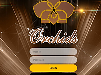 먹튀 (오키드 ORCHIDE 사이트)