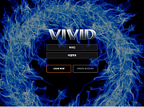 먹튀 (비비드 VIVID 사이트)