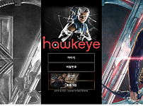 먹튀 (호크아이 HAWKEYE 사이트)